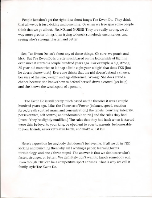 Black belt essay